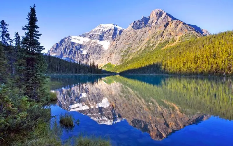 智能系统独特稳定性